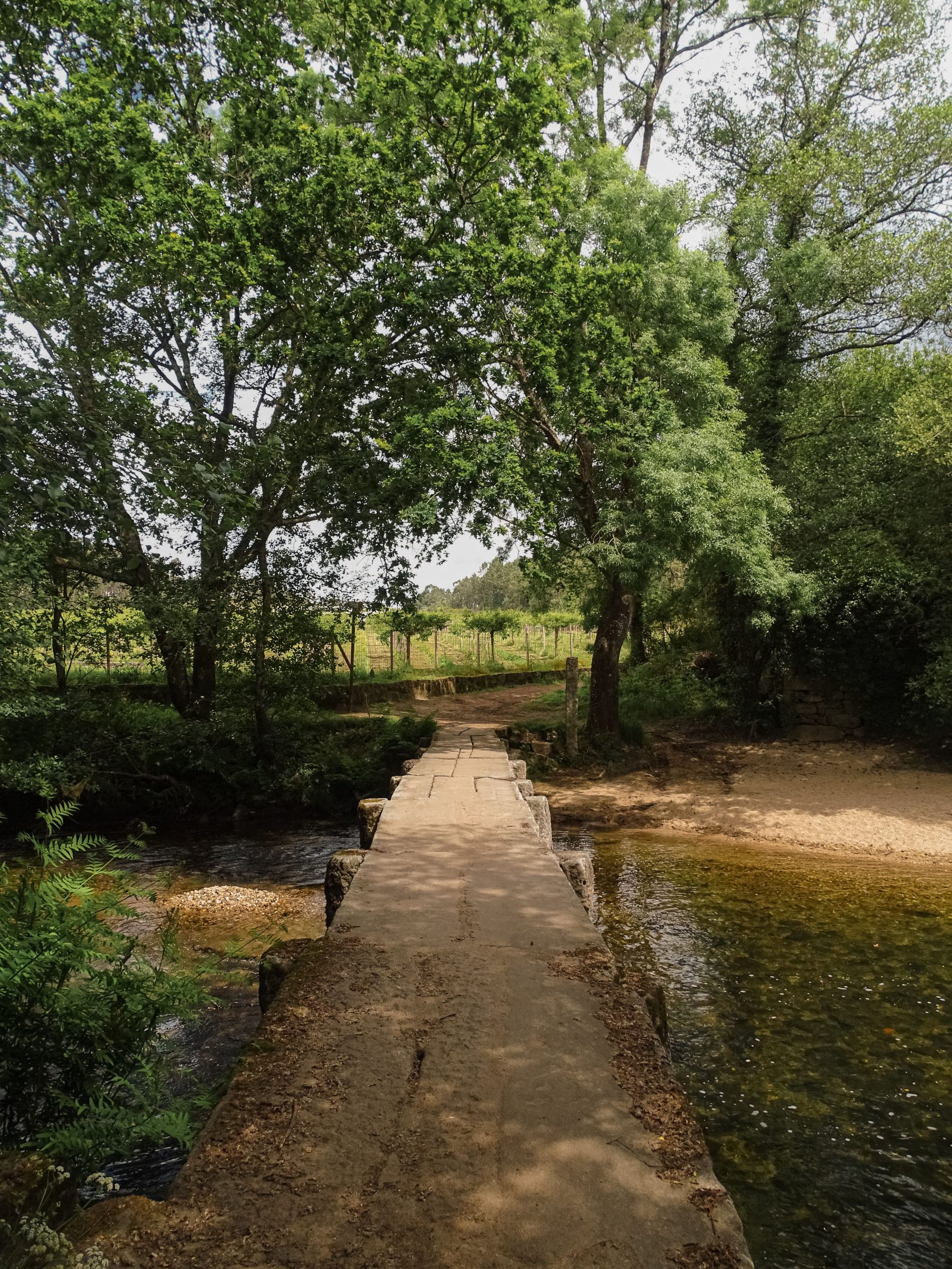Camino portugues de santiago